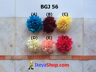 BGJ 56  large2